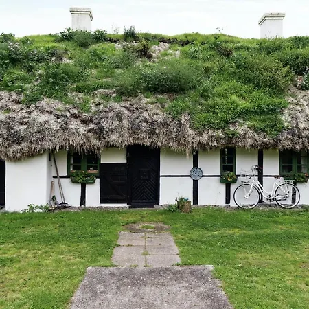 Holiday home Unique Summer House With Seaweed Roof On *