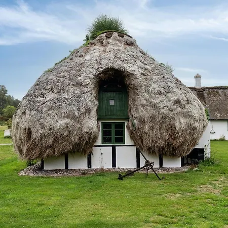 Unique Summer House With Seaweed Roof On Holiday home