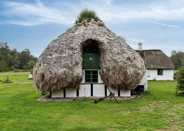 Unique Summer House With Seaweed Roof On Дом отдыха